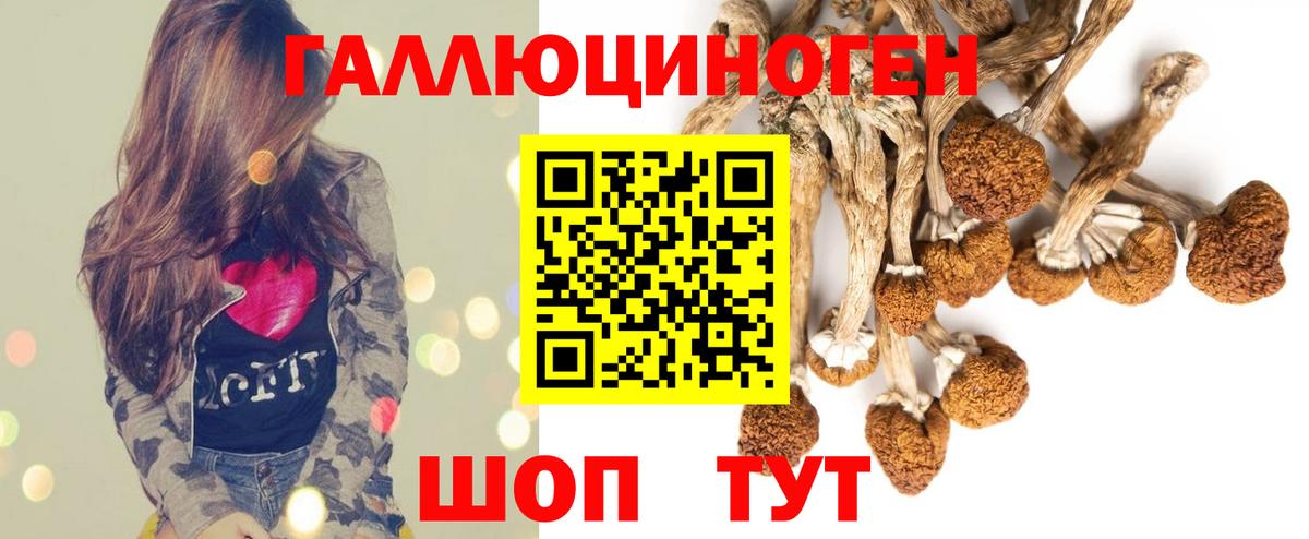 Псилоцибиновые грибы Psilocybe Кропоткин